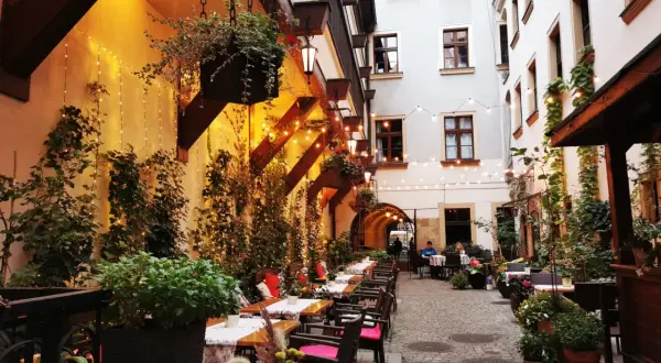 Wrocław gdzie zjeść? Wybierz idealną restaurację na każdą okazję