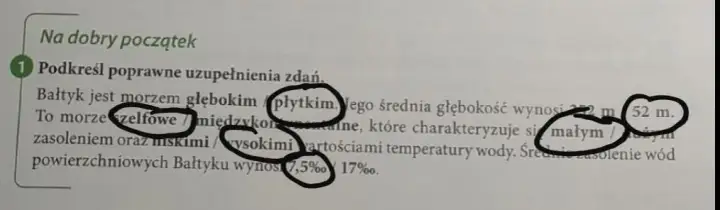 Czy Bałtyk jest płytki? Zaskakujące fakty o głębokości naszego morza